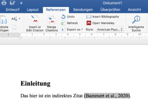 Literaturverzeichnis erstellen Word und Mendeley