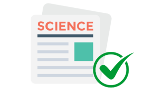 Peer Review Verfahren