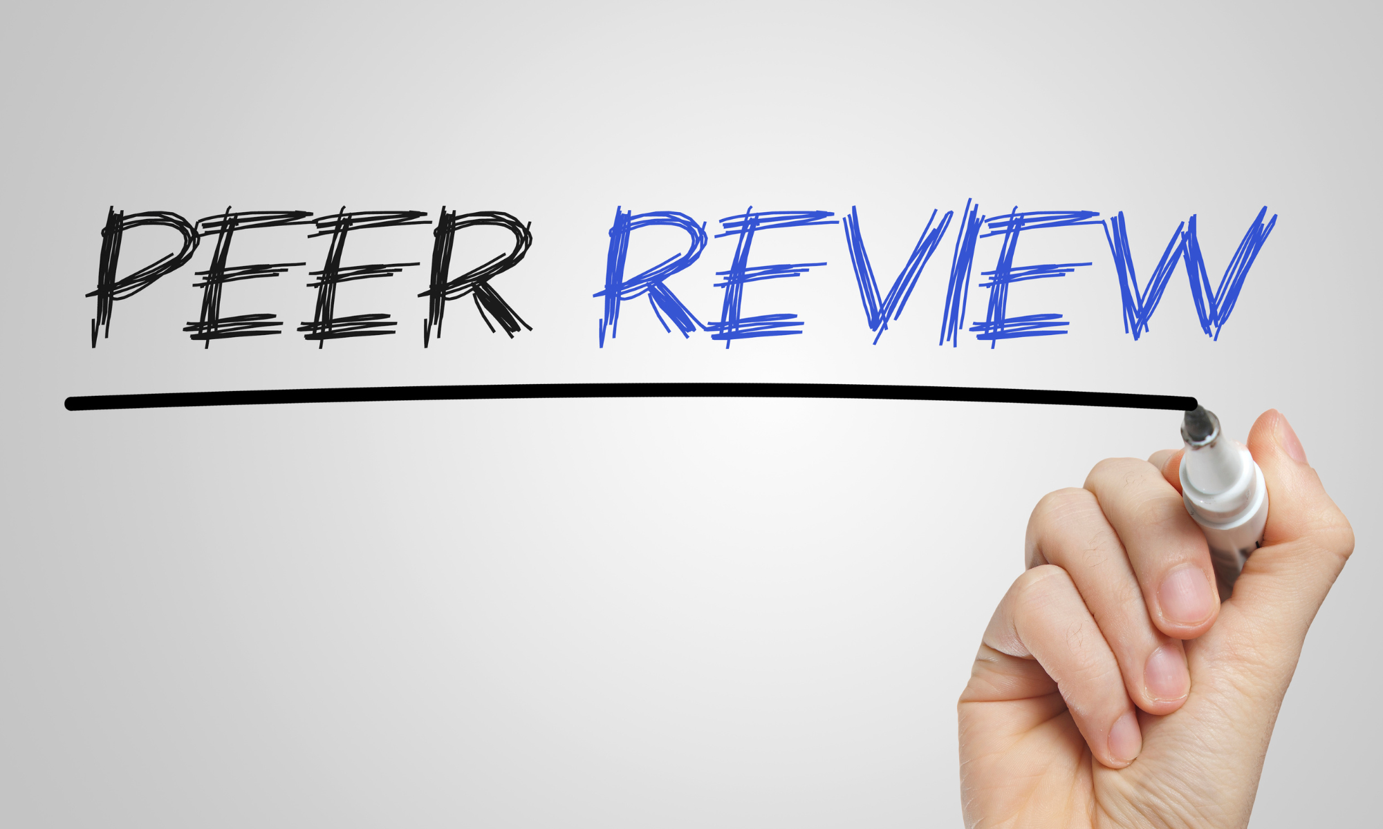 Peer Review Verfahren