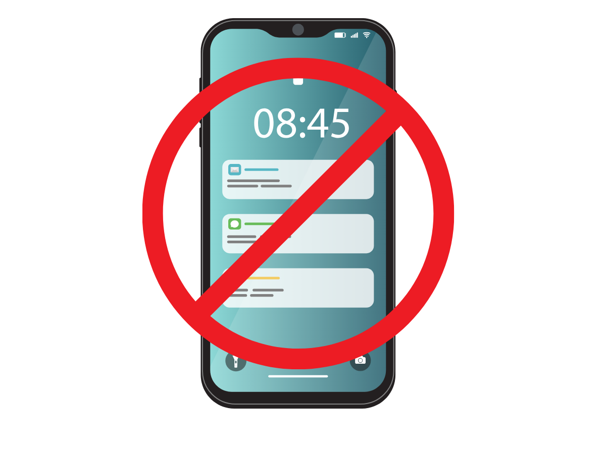 Brainrot oder Flow Handyverbot